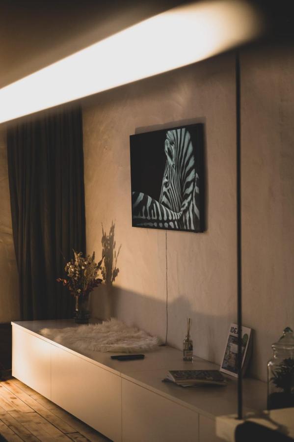 L'Appart' - Ideal For A Stay In The City Center Near The Lake Annecy Eksteriør billede